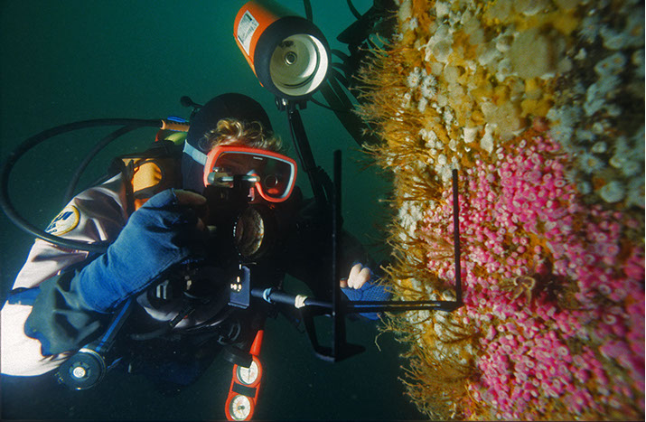 Jo Jamieson, Seal Island Beara Peninsular,Kerry&nbsp; by Chris MctTernan ©