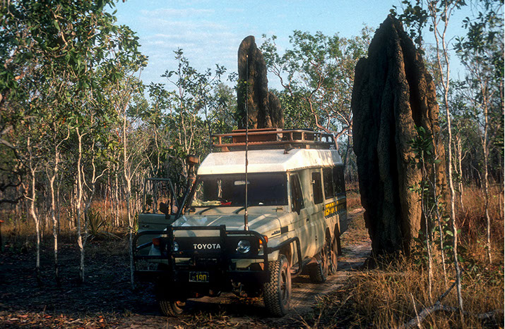 Kakadu terrmites 