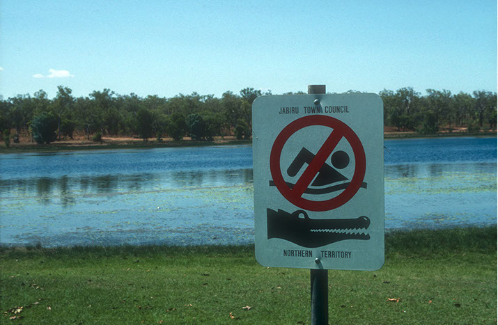 Billabong, Kakadu, Northern Territory, Australia